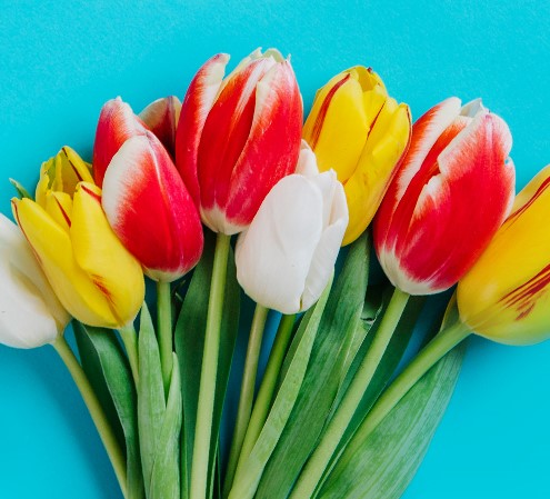 С праздником весны!