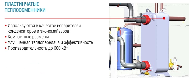 foto 5.jpg